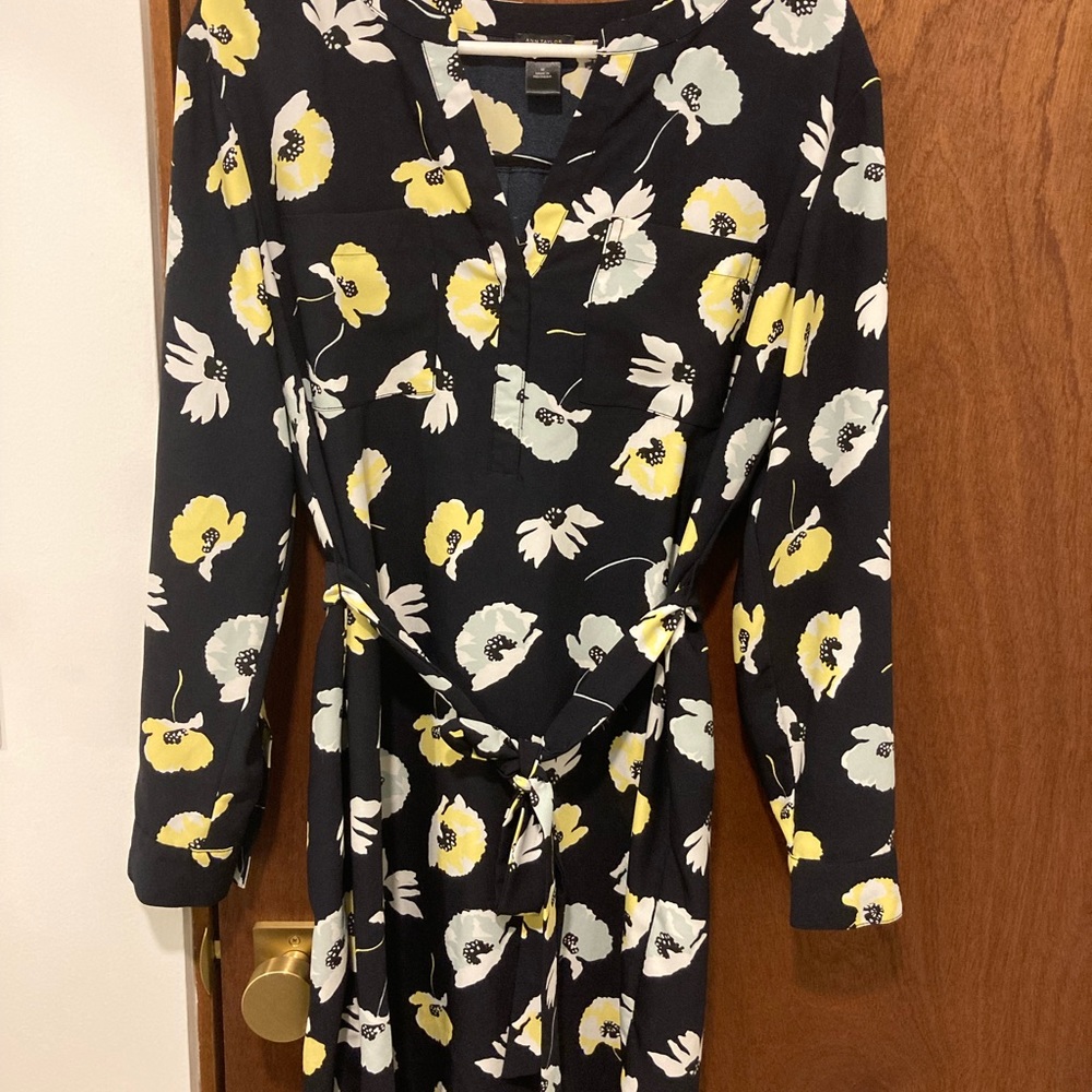 Ann Taylor Springtime Dress Women’s Medium